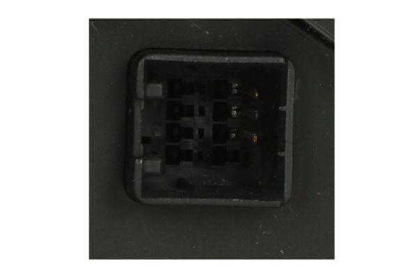 Blic Buitenspiegel 5402-20-2001397P