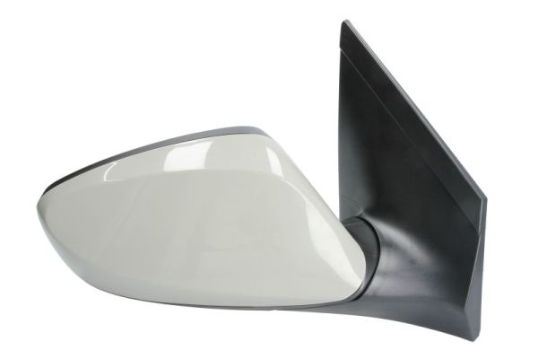 Blic Buitenspiegel 5402-20-2001412P