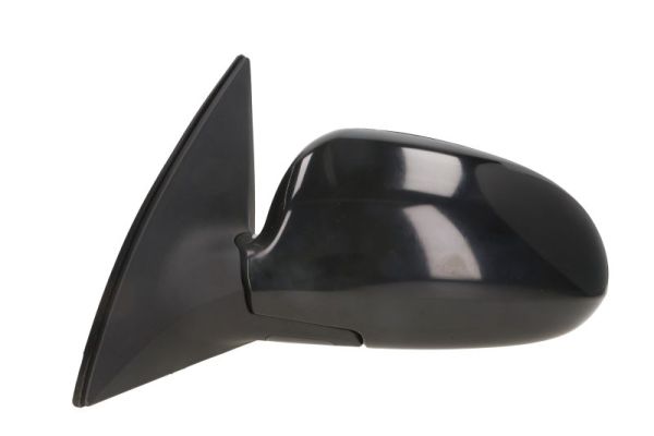 Blic Buitenspiegel 5402-20-2002841P