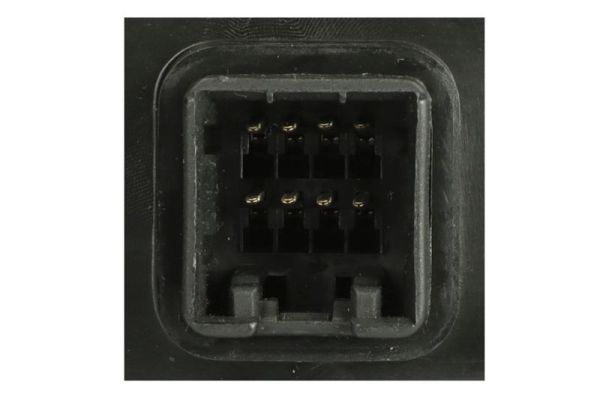 Blic Buitenspiegel 5402-20-2002846P