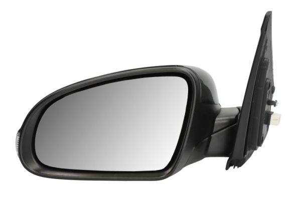 Blic Buitenspiegel 5402-20-2238312P