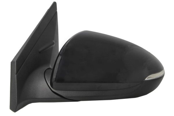 Blic Buitenspiegel 5402-20-2239310P