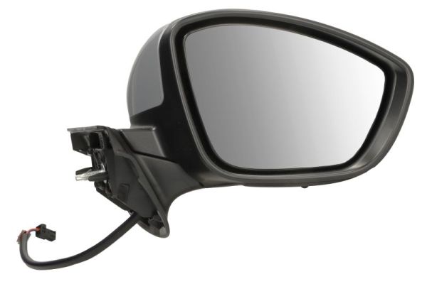 Blic Buitenspiegel 5402-21-0199321P