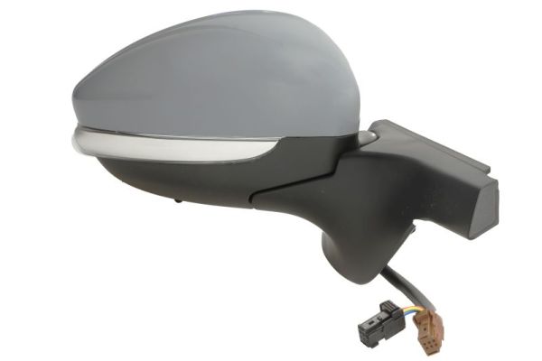 Blic Buitenspiegel 5402-21-0199321P