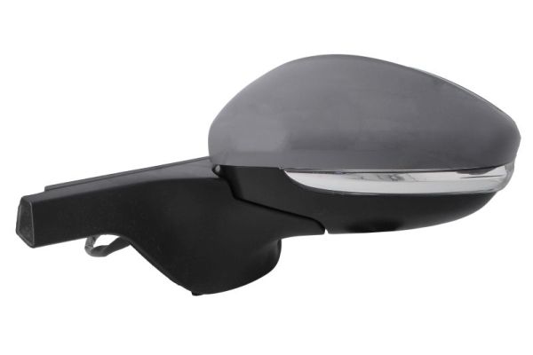 Blic Buitenspiegel 5402-21-0199322P