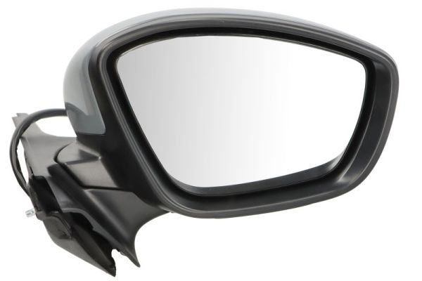 Blic Buitenspiegel 5402-21-0199323P