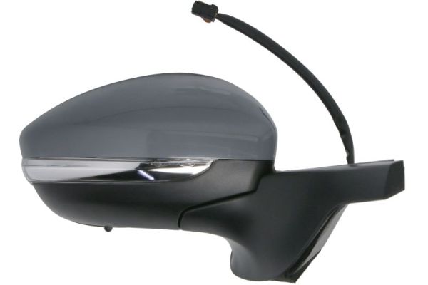 Blic Buitenspiegel 5402-21-0199323P