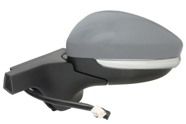 Blic Buitenspiegel 5402-21-0199324P