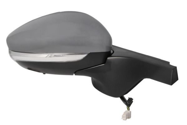 Blic Buitenspiegel 5402-21-0199325P