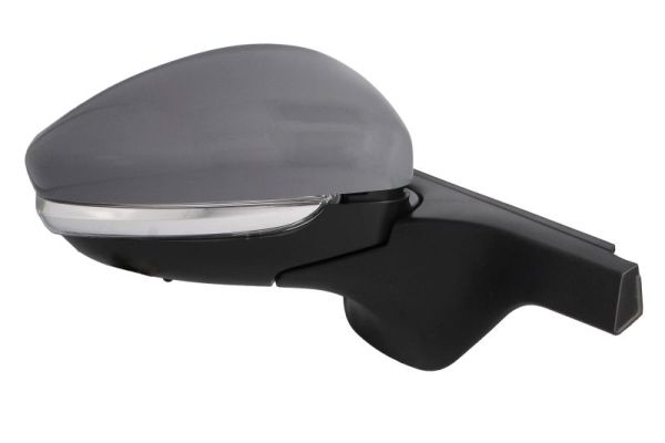 Blic Buitenspiegel 5402-21-0199327P