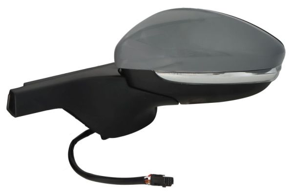 Blic Buitenspiegel 5402-21-0199328P