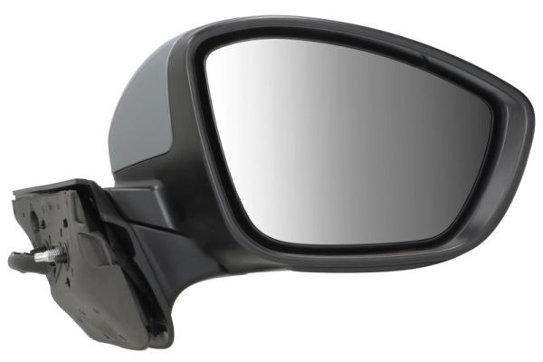 Blic Buitenspiegel 5402-21-0199329P