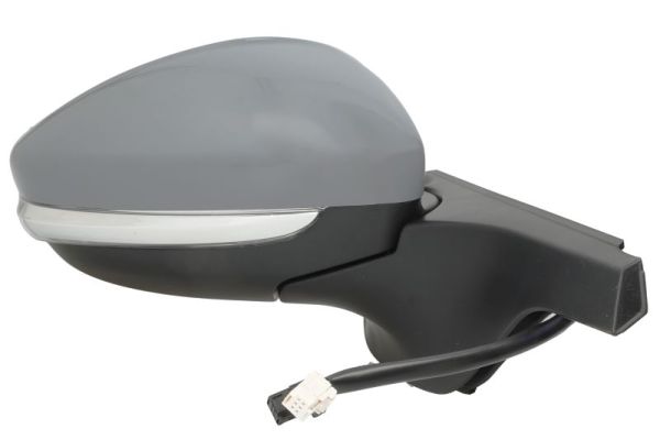 Blic Buitenspiegel 5402-21-0199329P