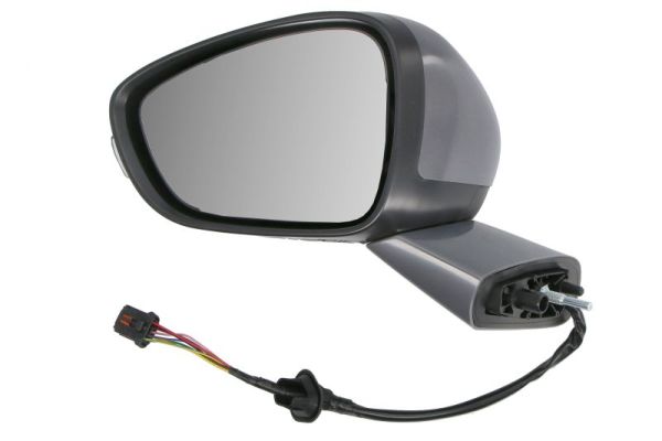 Blic Buitenspiegel 5402-21-0209310P