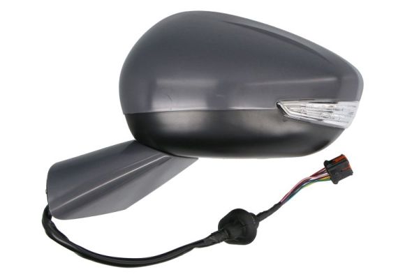 Blic Buitenspiegel 5402-21-0209310P