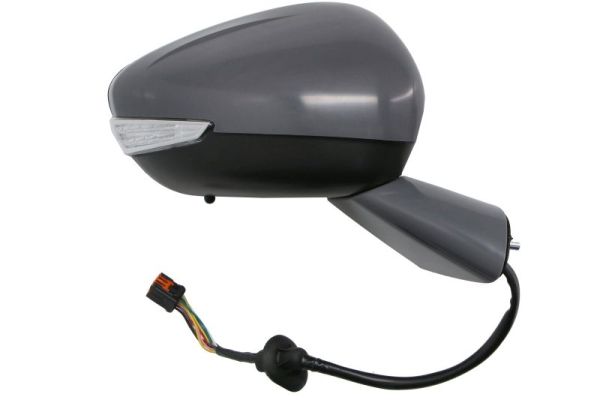 Blic Buitenspiegel 5402-21-0209311P