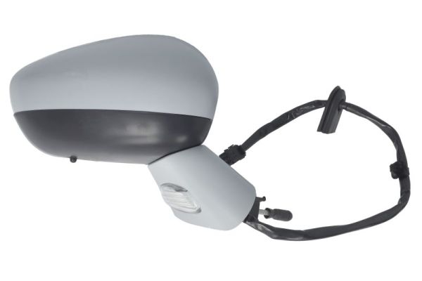 Blic Buitenspiegel 5402-21-034366P