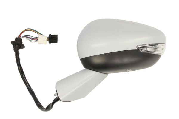 Blic Buitenspiegel 5402-21-044369P