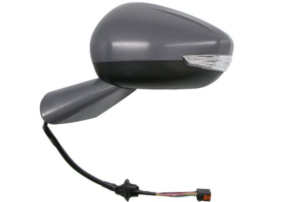 Blic Buitenspiegel 5402-21-1667310P