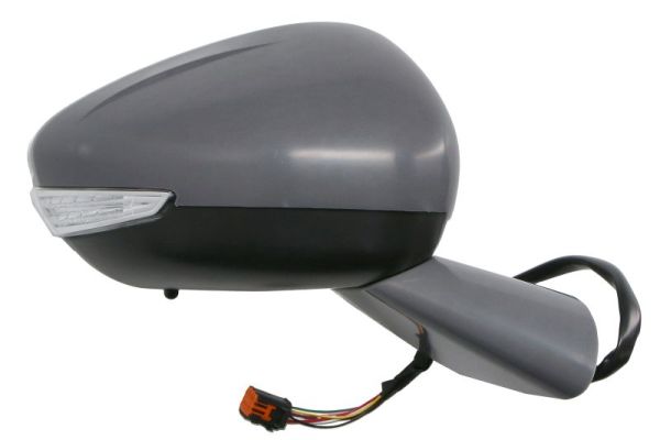 Blic Buitenspiegel 5402-21-1667311P