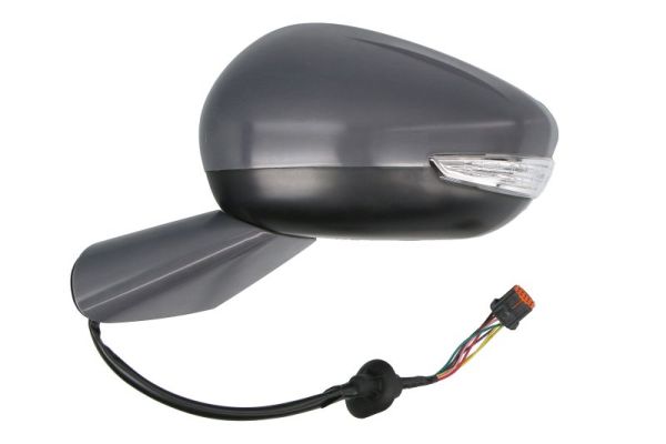 Blic Buitenspiegel 5402-21-1667312P