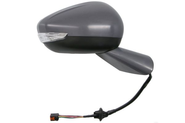 Blic Buitenspiegel 5402-21-1667313P