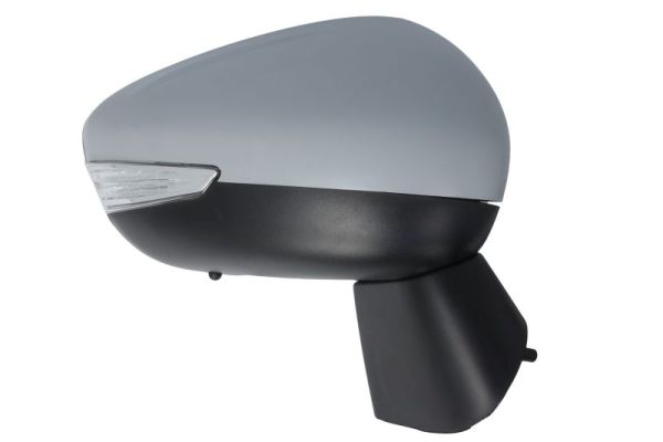 Blic Buitenspiegel 5402-21-1882311P