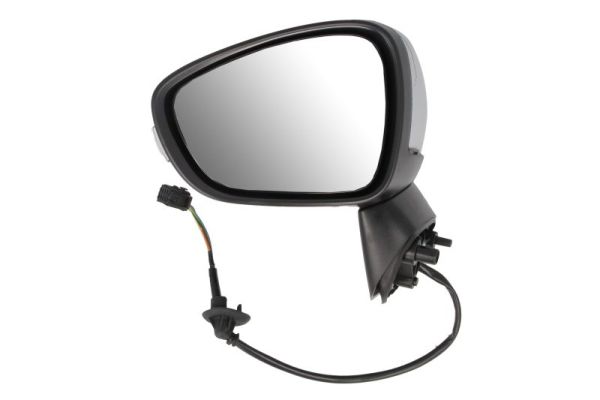 Blic Buitenspiegel 5402-21-1882318P