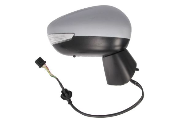 Blic Buitenspiegel 5402-21-1882319P