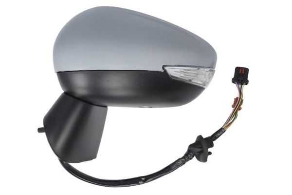 Blic Buitenspiegel 5402-21-1882320P