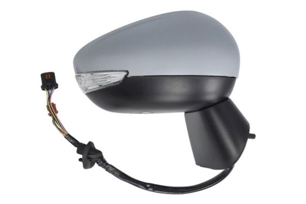 Blic Buitenspiegel 5402-21-1882321P