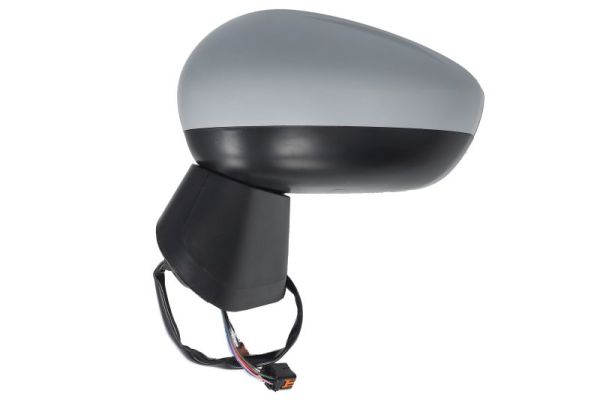 Blic Buitenspiegel 5402-21-2137310P