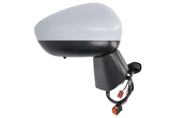 Blic Buitenspiegel 5402-21-2137311P