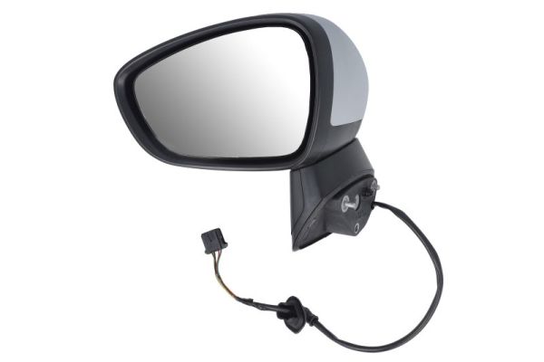 Blic Buitenspiegel 5402-21-2137312P