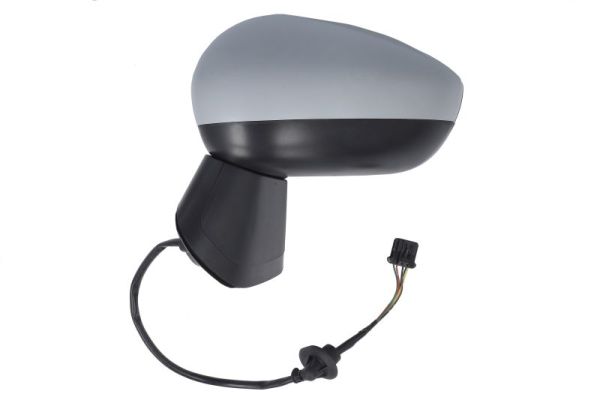 Blic Buitenspiegel 5402-21-2137312P