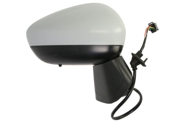 Blic Buitenspiegel 5402-21-2137313P