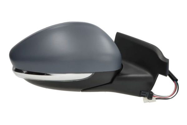 Blic Buitenspiegel 5402-21-2142313P