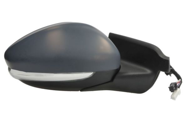 Blic Buitenspiegel 5402-21-2142317P