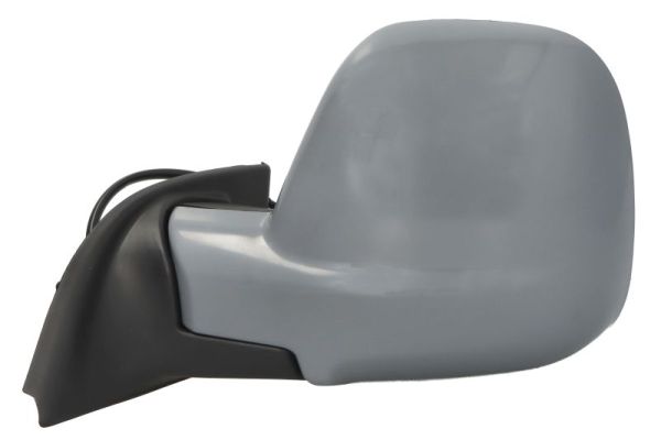 Blic Buitenspiegel 5402-21-2194312P