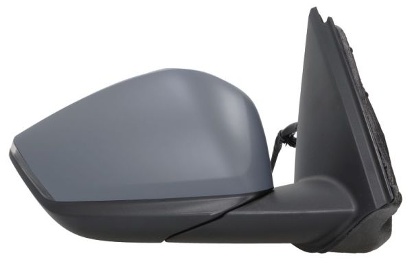 Blic Buitenspiegel 5402-21-2323315P