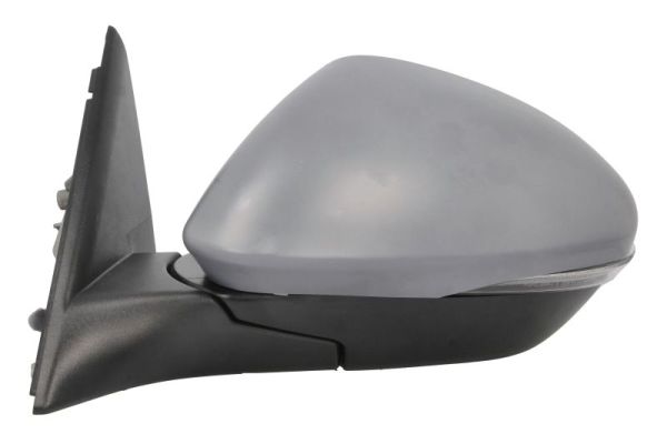 Blic Buitenspiegel 5402-22-2075312P