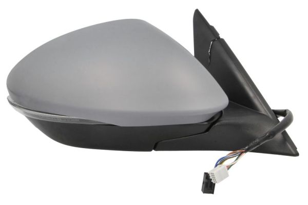 Blic Buitenspiegel 5402-22-2075313P