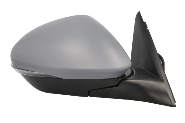 Blic Buitenspiegel 5402-22-2075315P