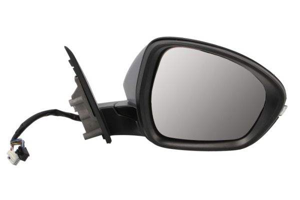 Blic Buitenspiegel 5402-22-2075317P