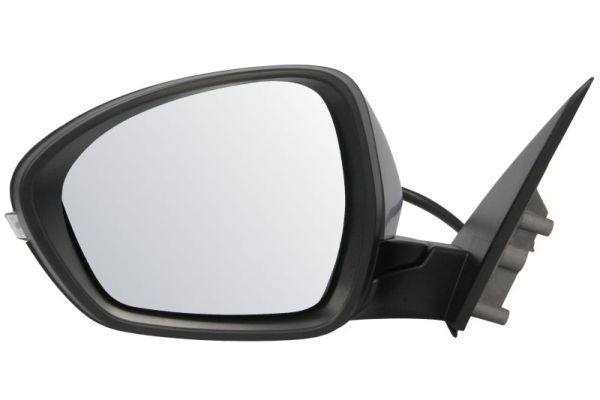 Blic Buitenspiegel 5402-22-2075318P