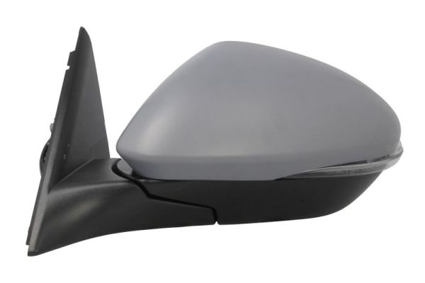 Blic Buitenspiegel 5402-22-2075318P