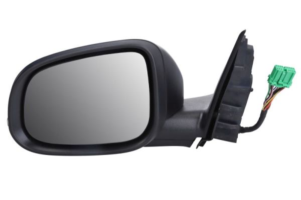 Blic Buitenspiegel 5402-24-1518316P