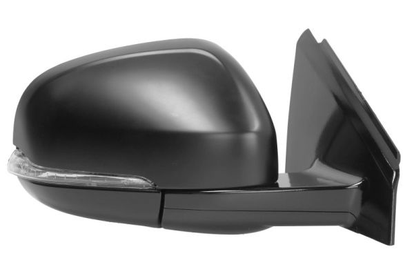 Blic Buitenspiegel 5402-24-1523313P