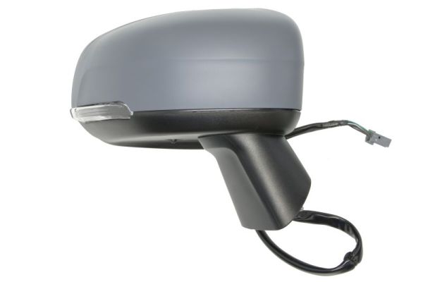 Blic Buitenspiegel 5402-24-2025311P