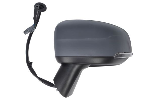 Blic Buitenspiegel 5402-24-2025312P